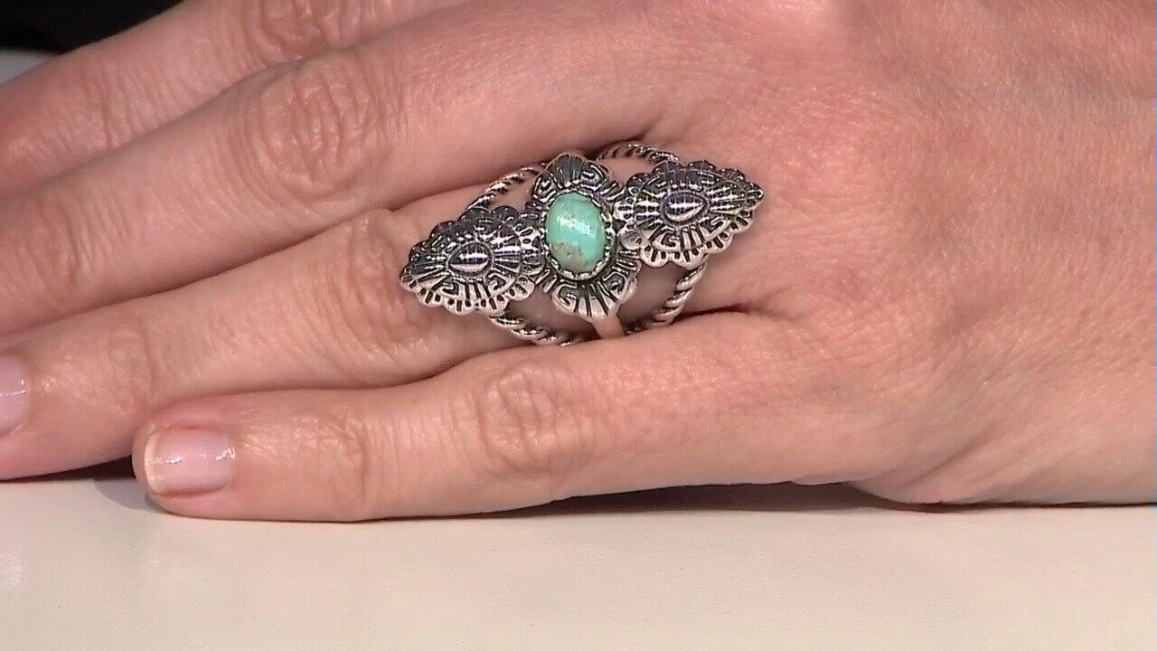 Letzte TV-Show ansehen