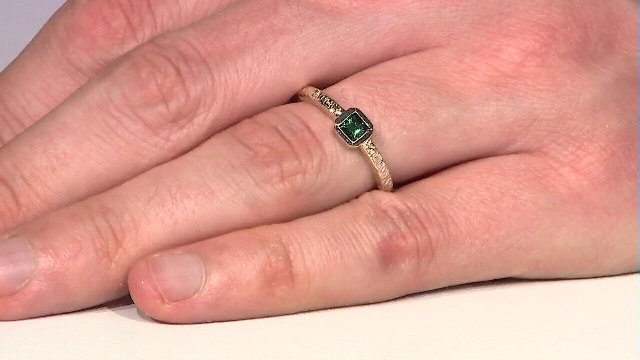 Letzte TV-Show ansehen