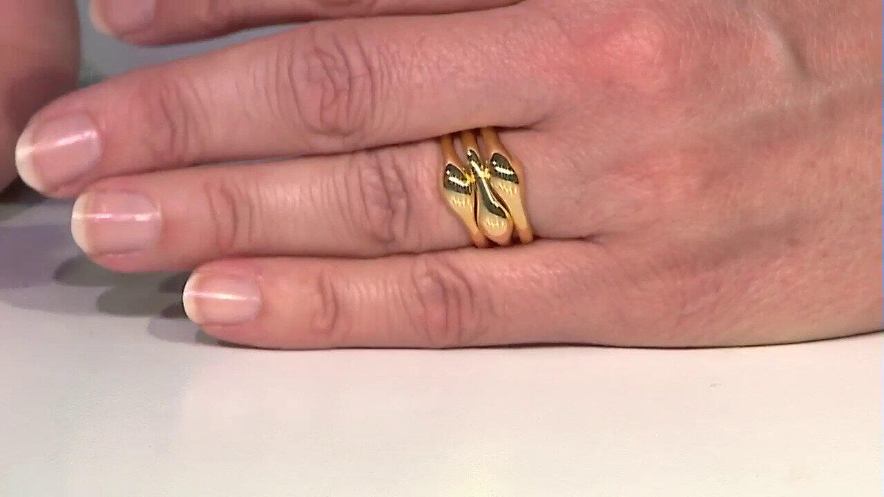 Video Bague en argent (M de Luca)
