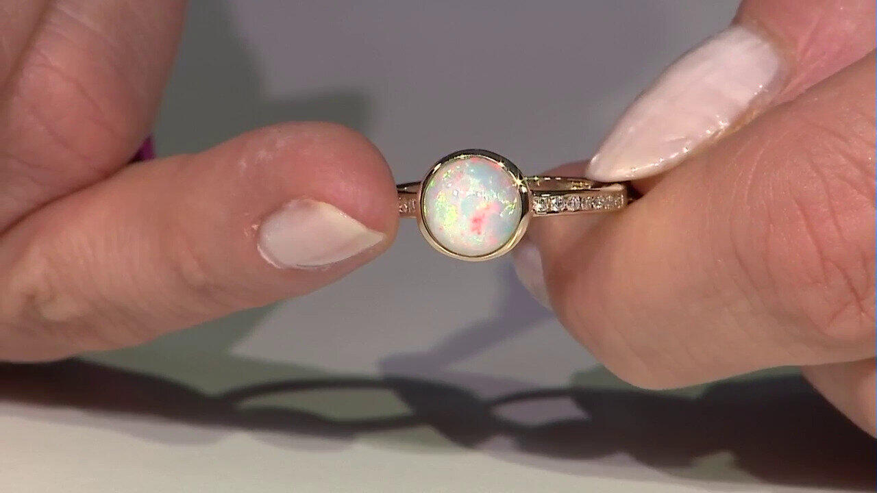 Laatste live aanbiedingen bekijken