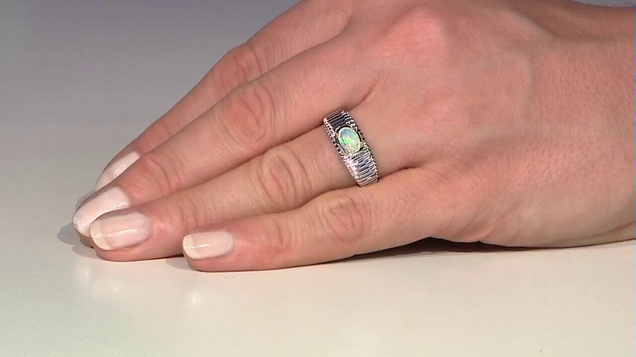 Laatste live aanbiedingen bekijken