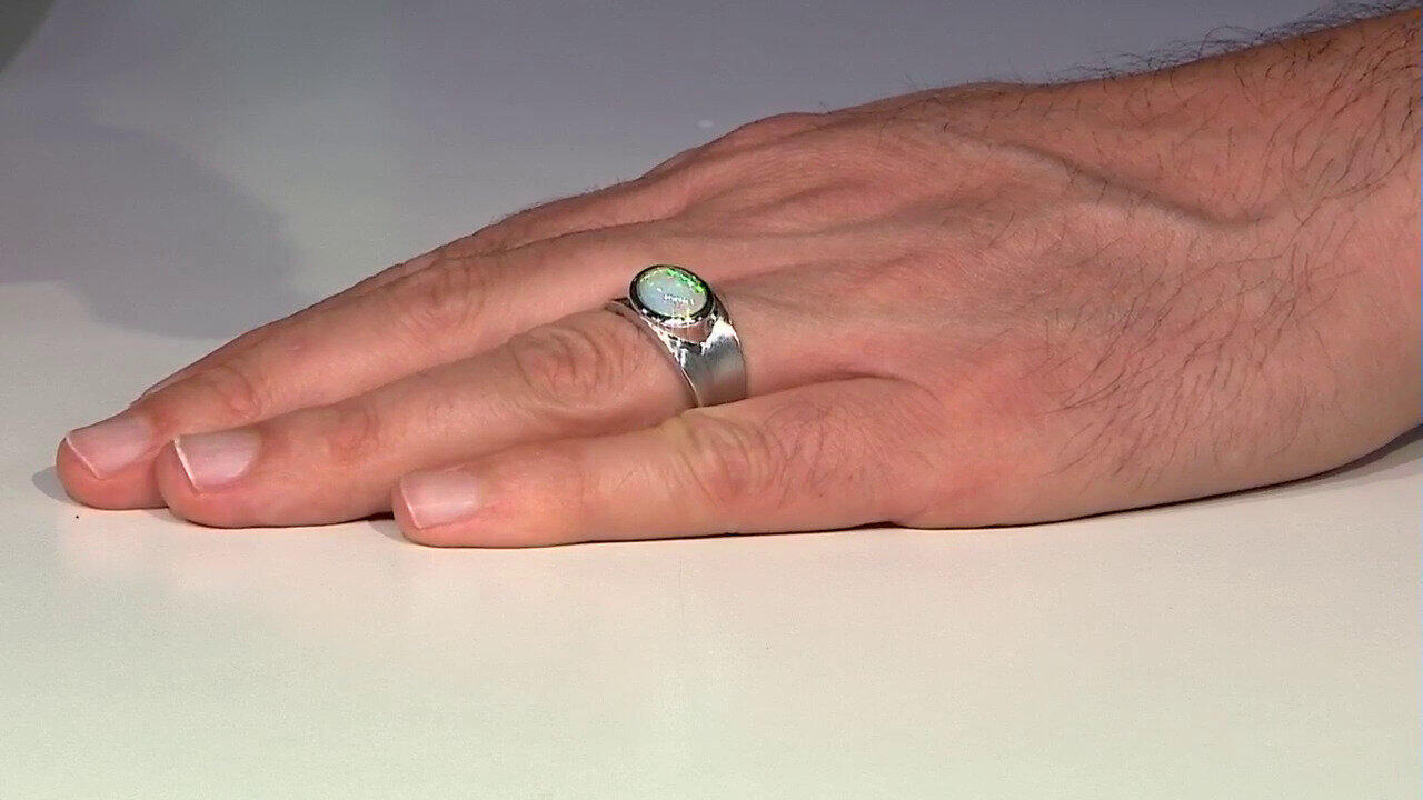 Letzte TV-Show ansehen