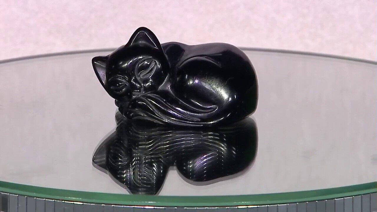 Video Obsidian-Katze
