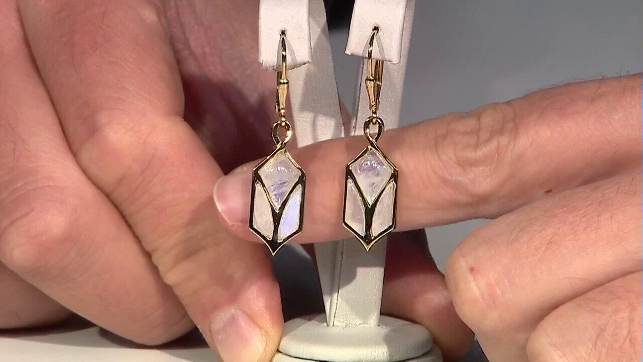 Letzte TV-Show ansehen