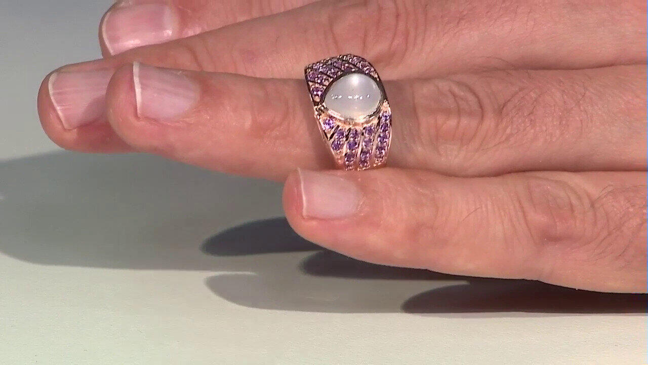 Letzte TV-Show ansehen