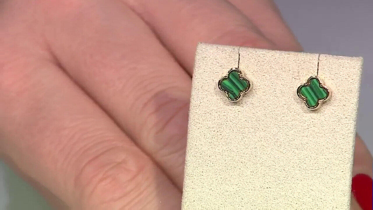Video Orecchini in argento con Malachite
