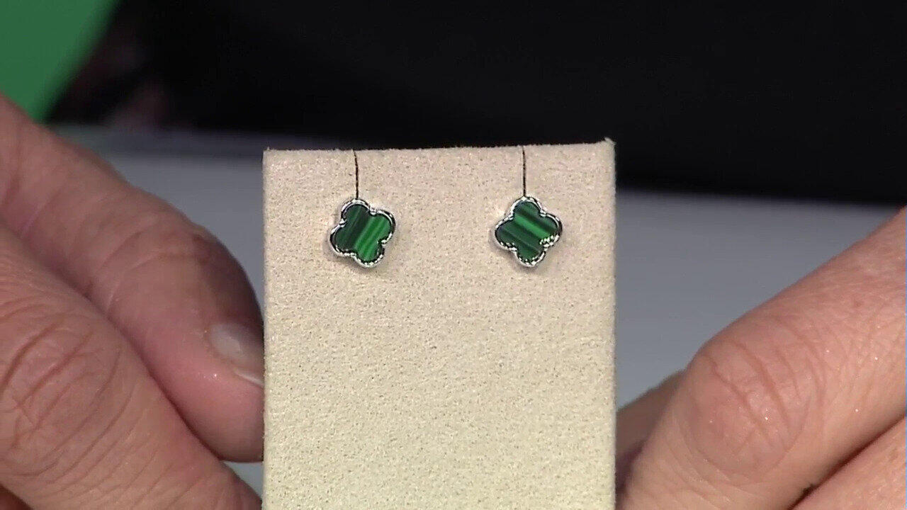 Video Orecchini in argento con Malachite