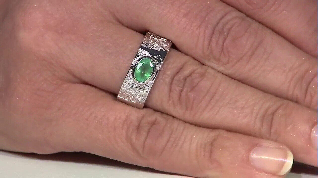 Letzte TV-Show ansehen