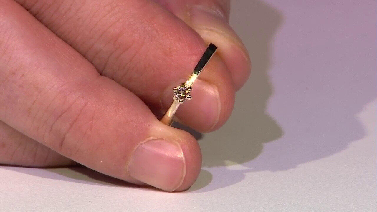 Letzte TV-Show ansehen