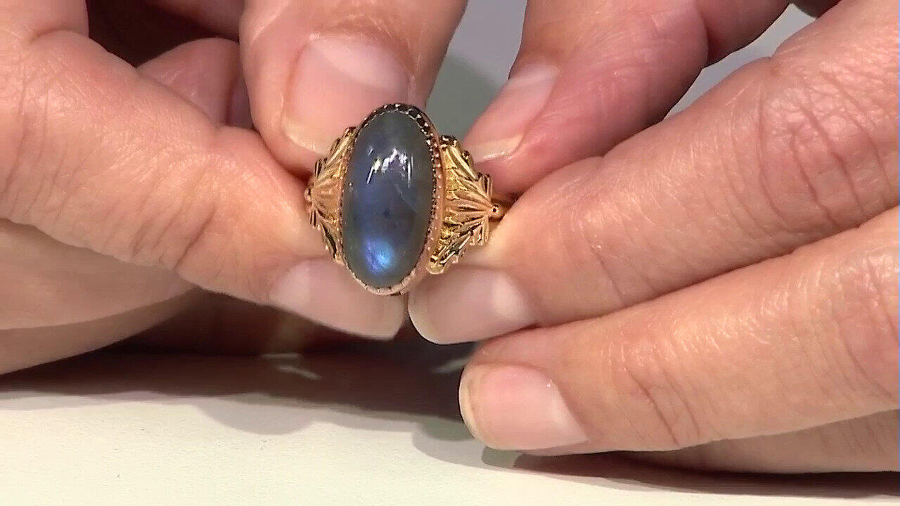 Ver última TV oferta