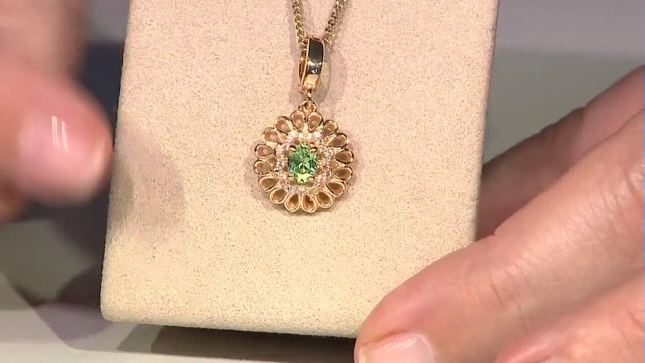 Letzte TV-Show ansehen