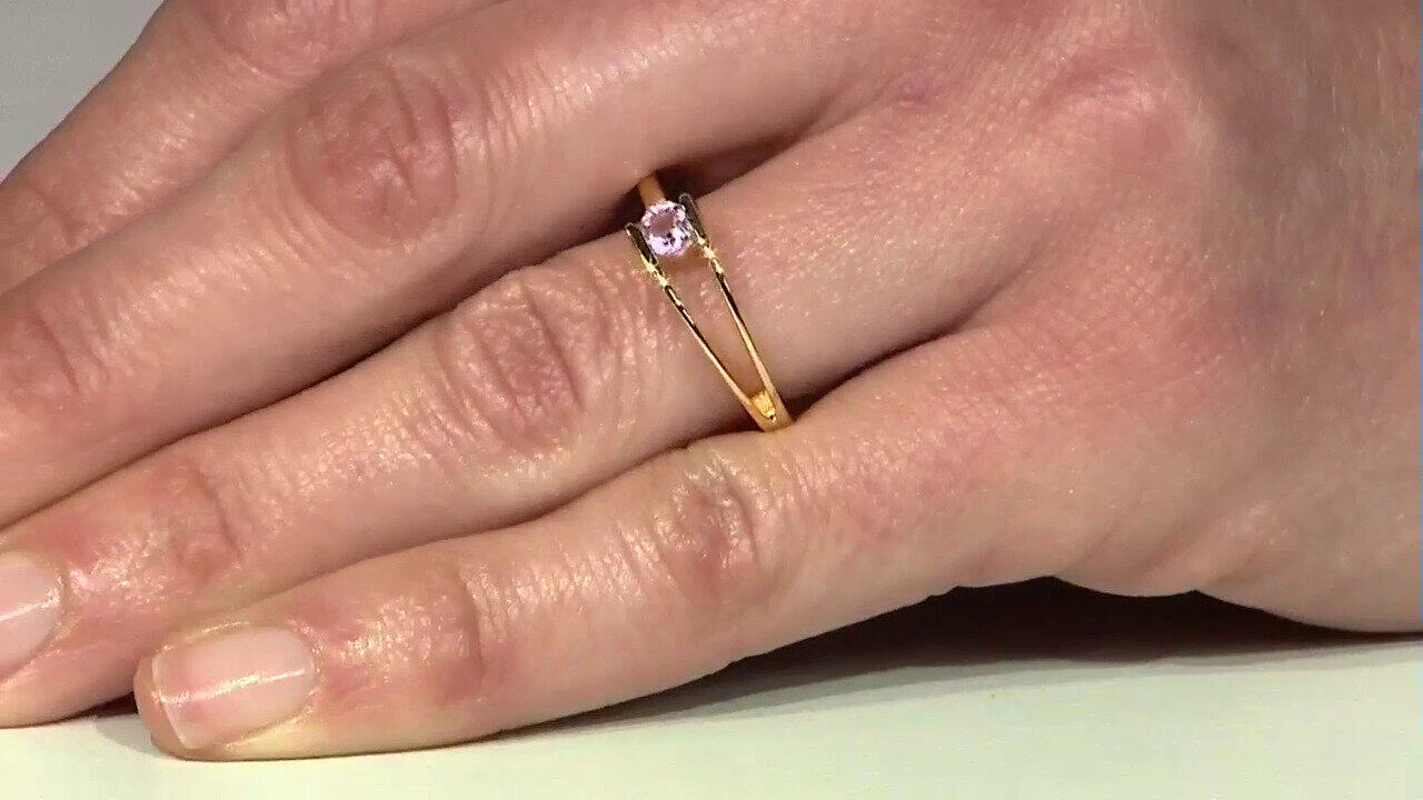 Letzte TV-Show ansehen