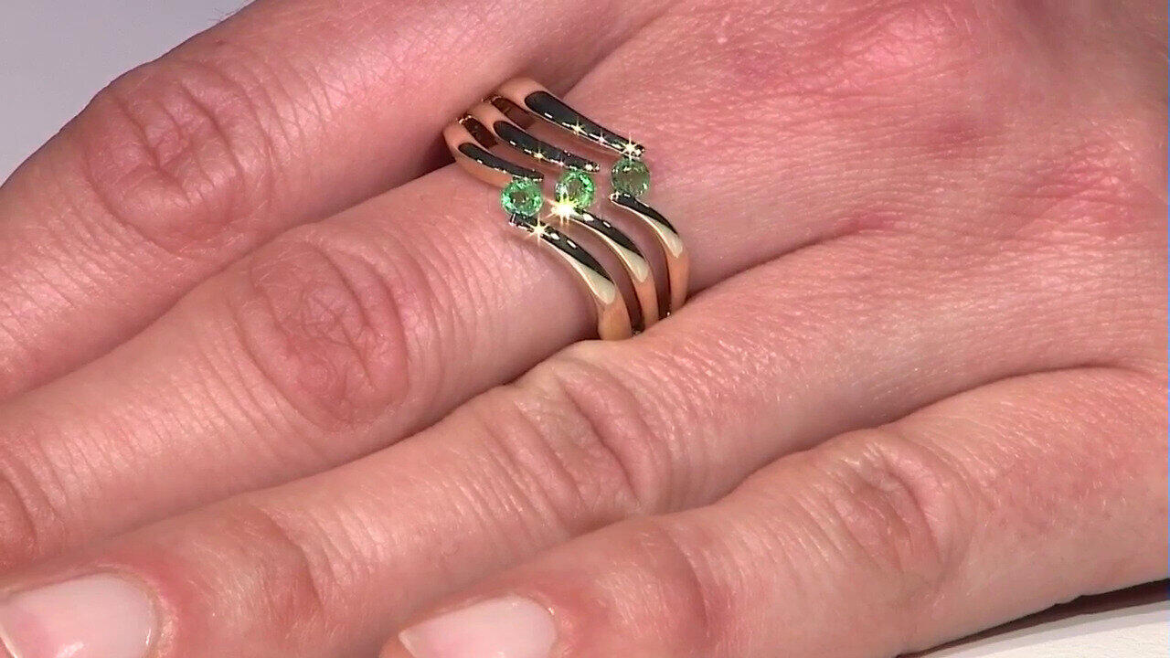 Letzte TV-Show ansehen