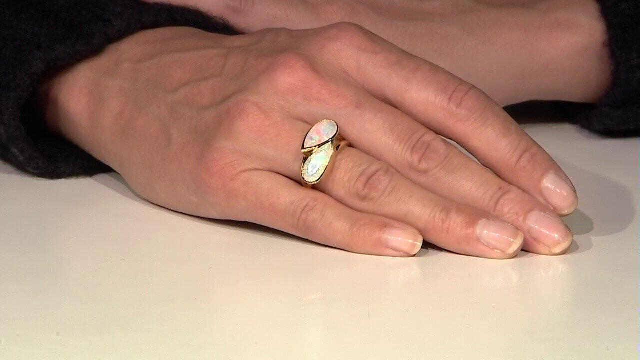 Letzte TV-Show ansehen