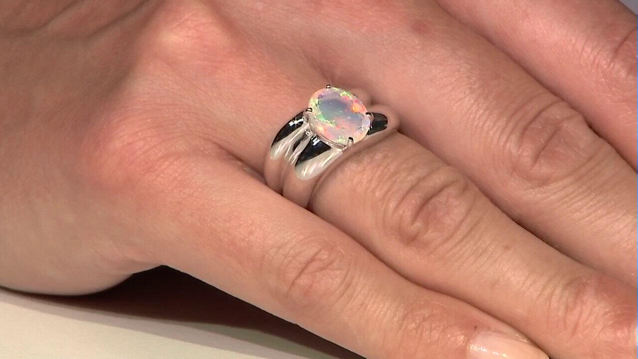 Laatste live aanbiedingen bekijken