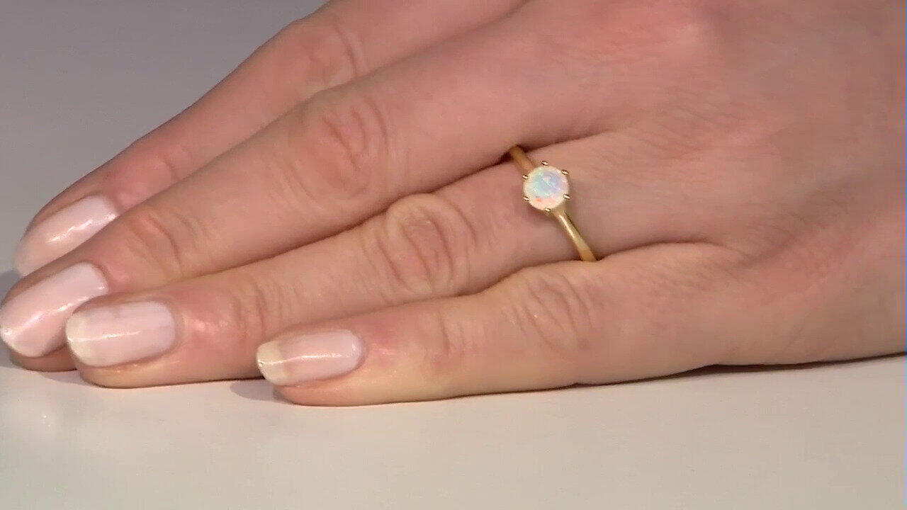 Letzte TV-Show ansehen