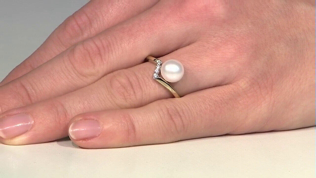 Letzte TV-Show ansehen