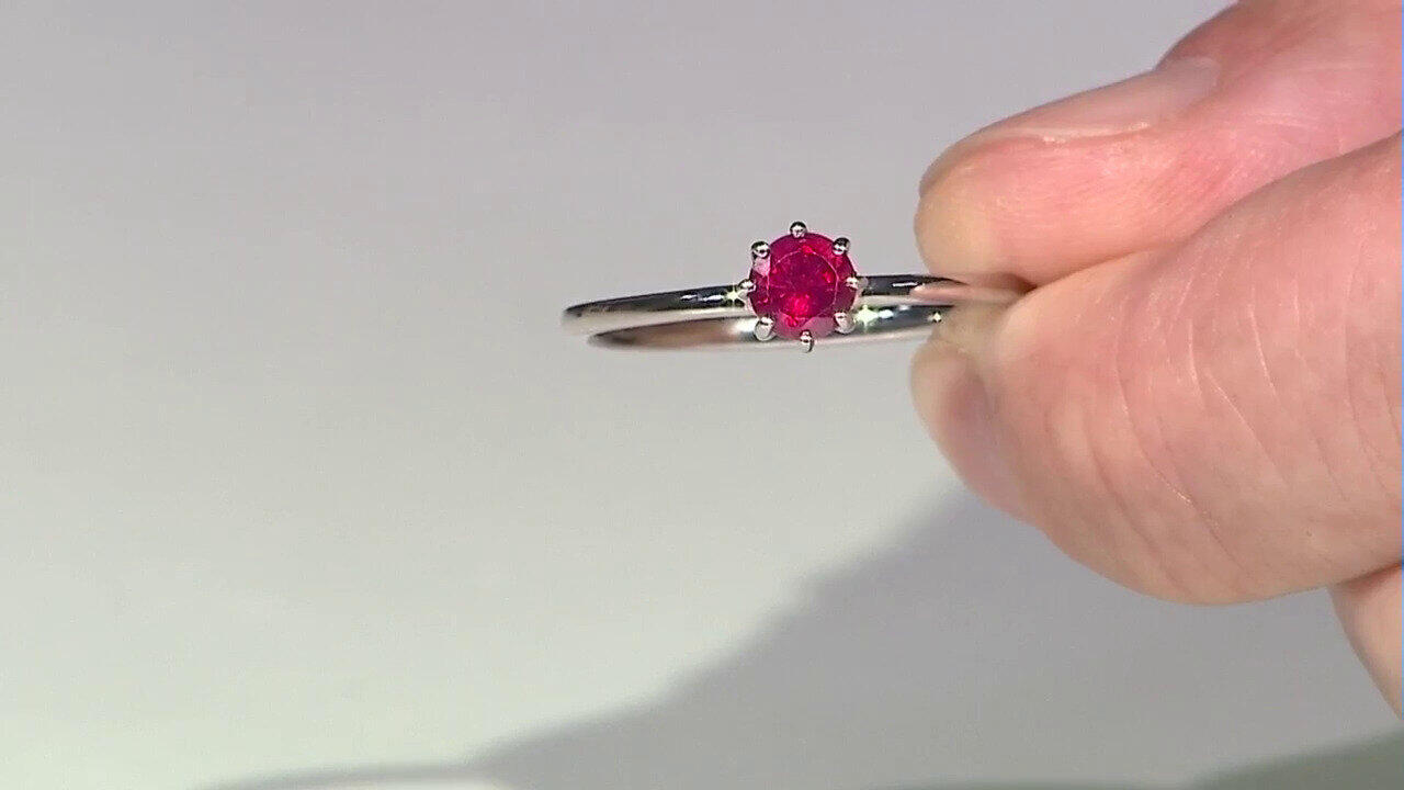 Laatste live aanbiedingen bekijken