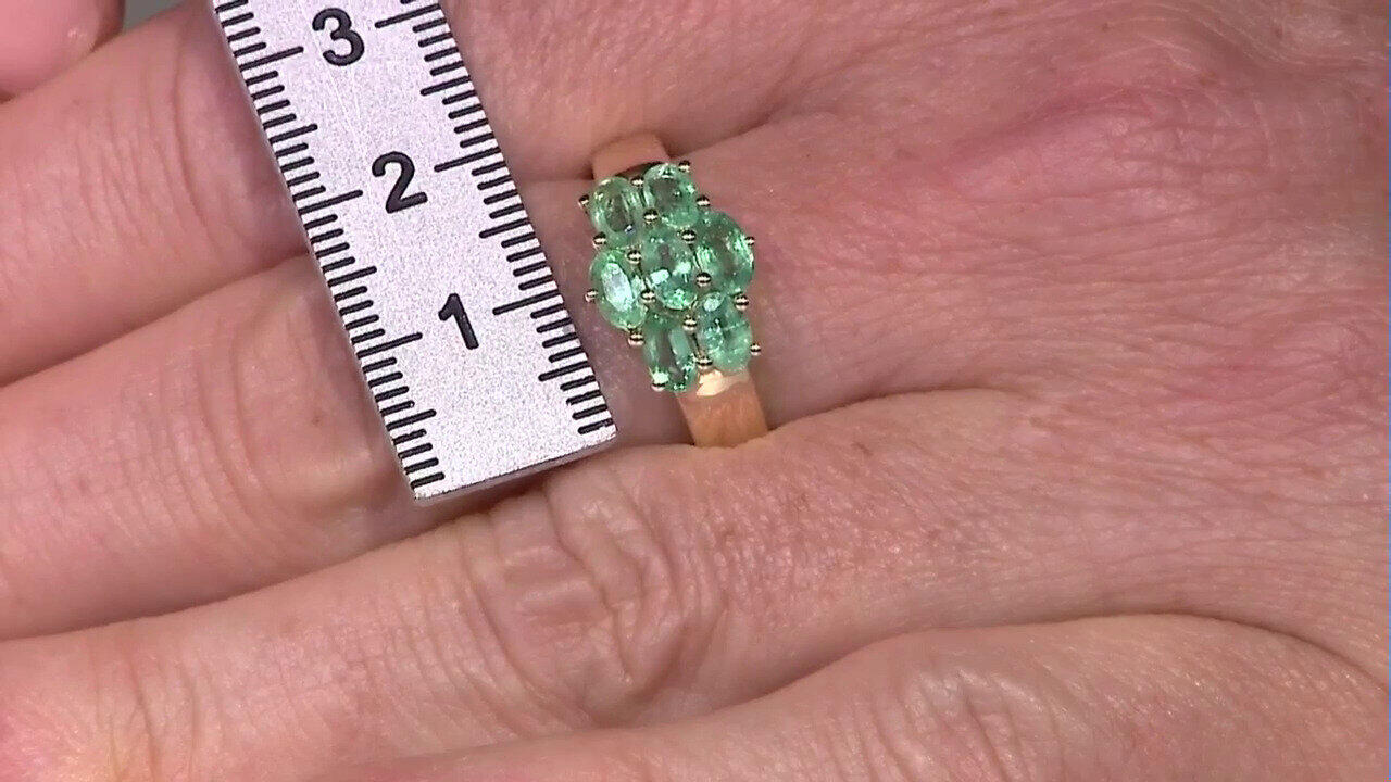 Voir l’enchère du bijou