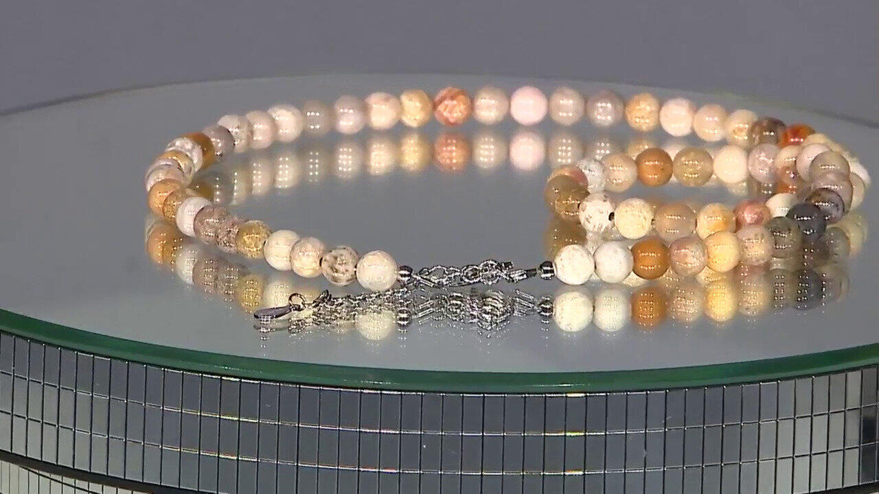 Video Petrified Coral Silver Necklace