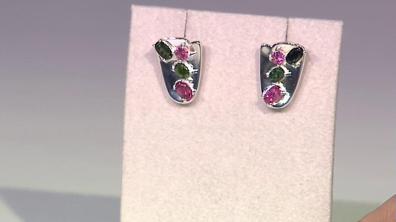 Video Brasilianischer Turmalin-Silberohrringe (Pallanova)