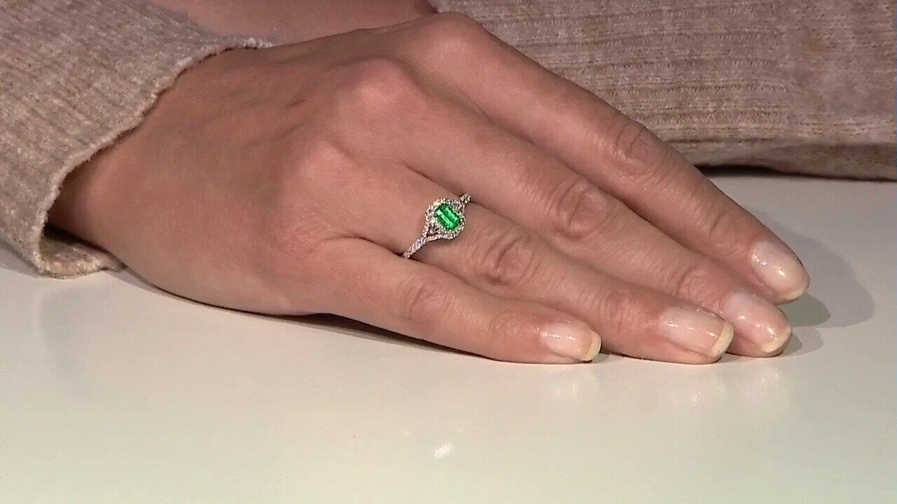 Letzte TV-Show ansehen