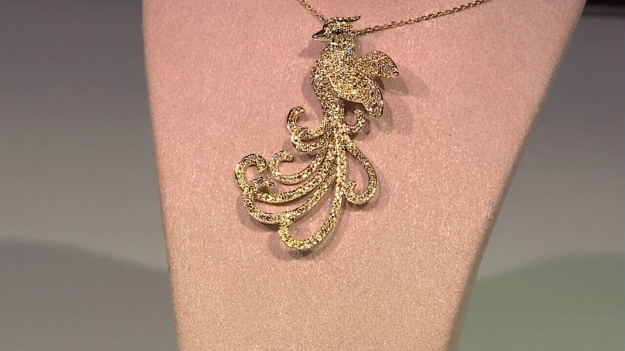 Letzte TV-Show ansehen