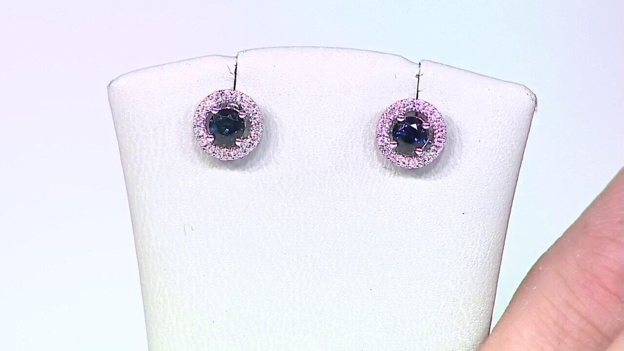 Video 10K Ceylon Blue Sapphire Gold Earrings