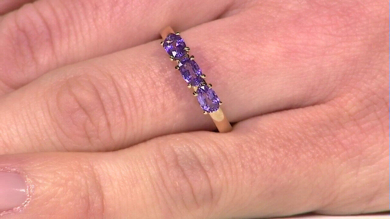 Letzte TV-Show ansehen