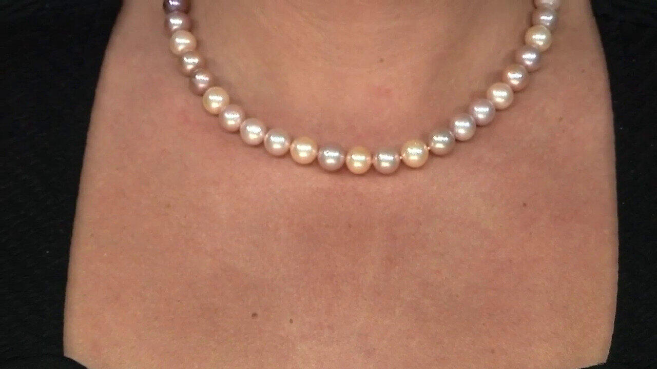 Laatste live aanbiedingen bekijken