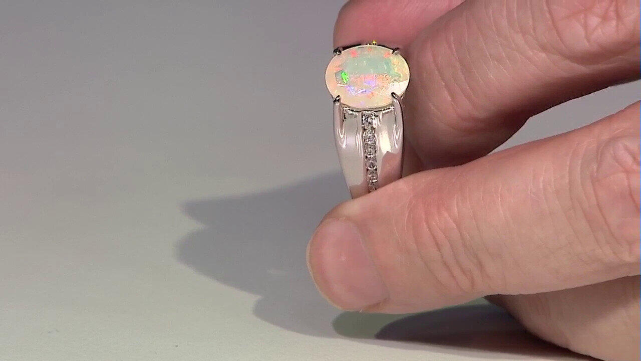 Letzte TV-Show ansehen