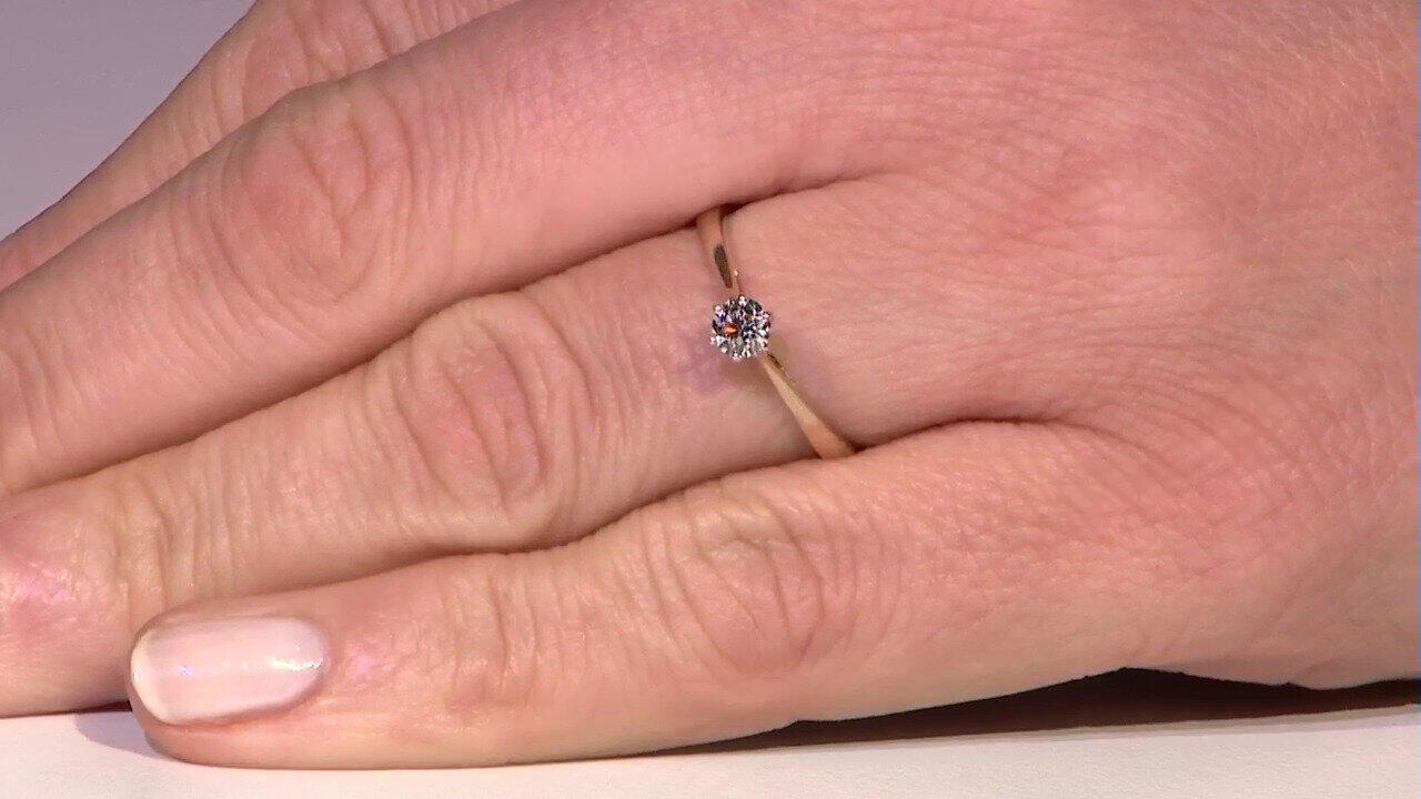 Letzte TV-Show ansehen