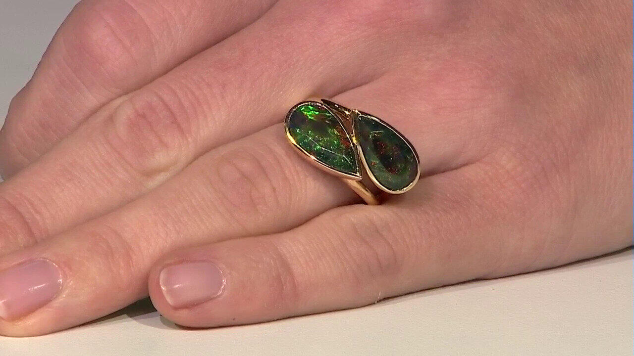 Letzte TV-Show ansehen