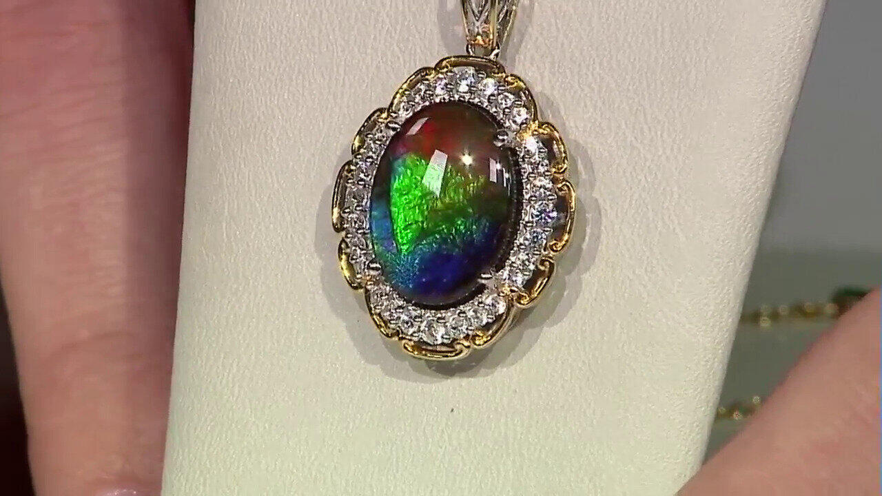 Letzte TV-Show ansehen