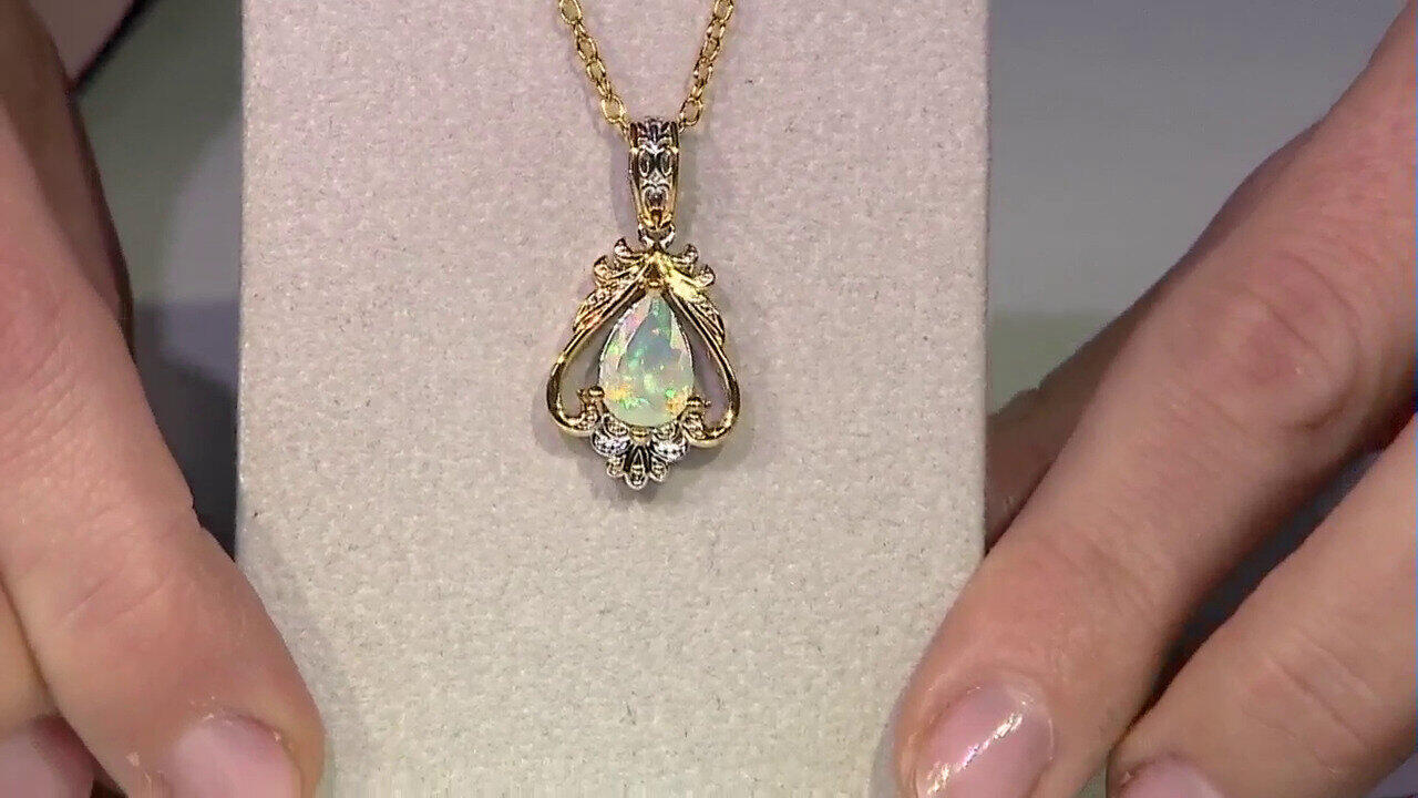 Laatste live aanbiedingen bekijken