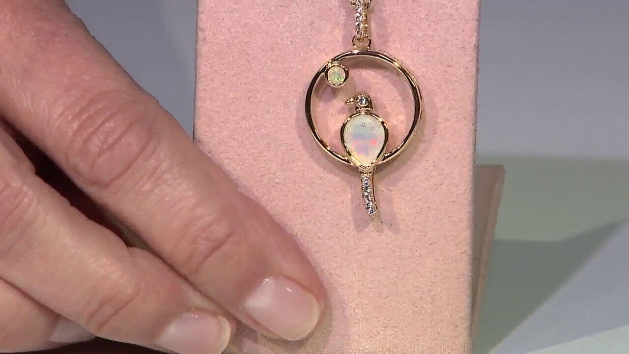 Laatste live aanbiedingen bekijken