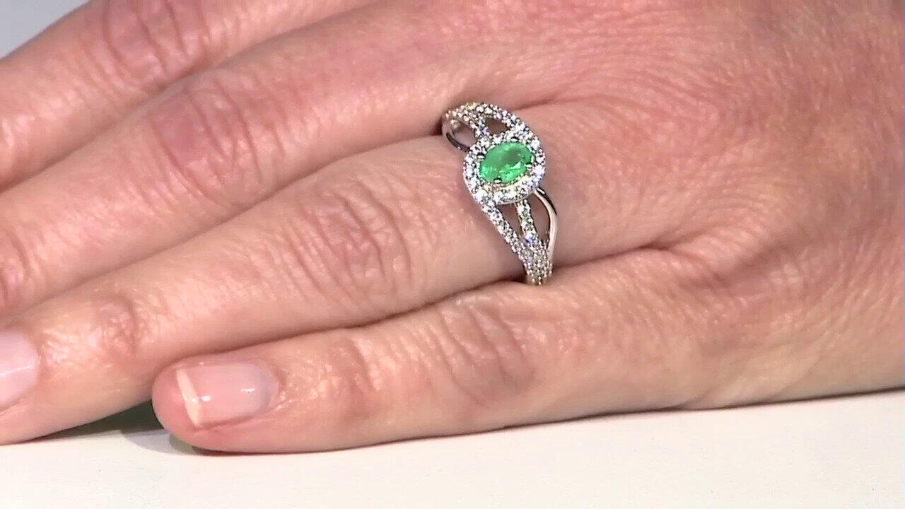 Letzte TV-Show ansehen