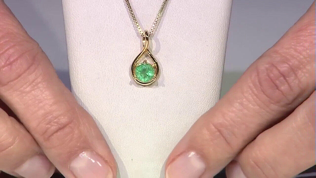 Letzte TV-Show ansehen