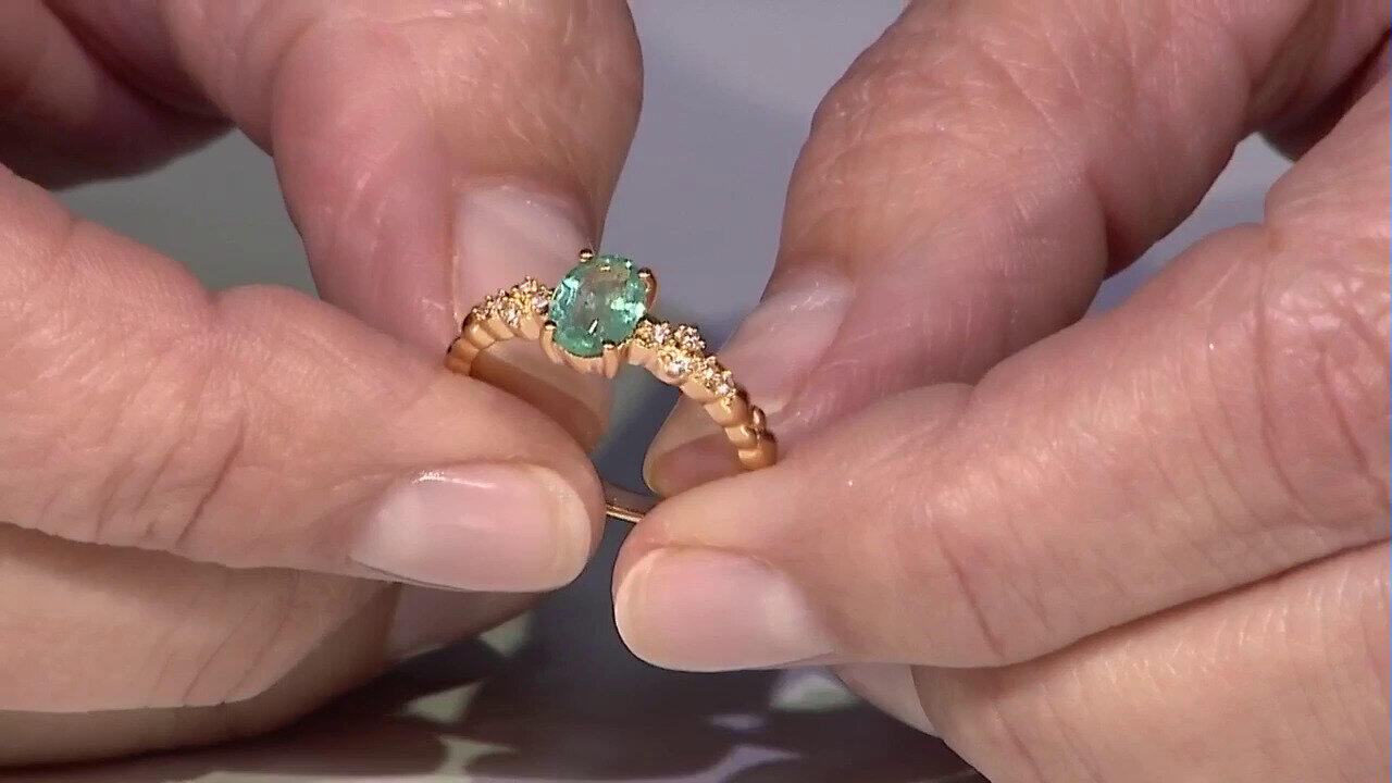 Laatste live aanbiedingen bekijken