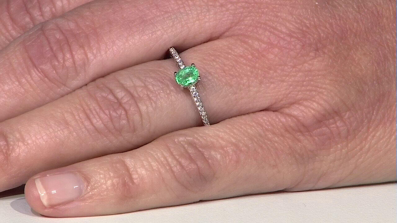 Letzte TV-Show ansehen