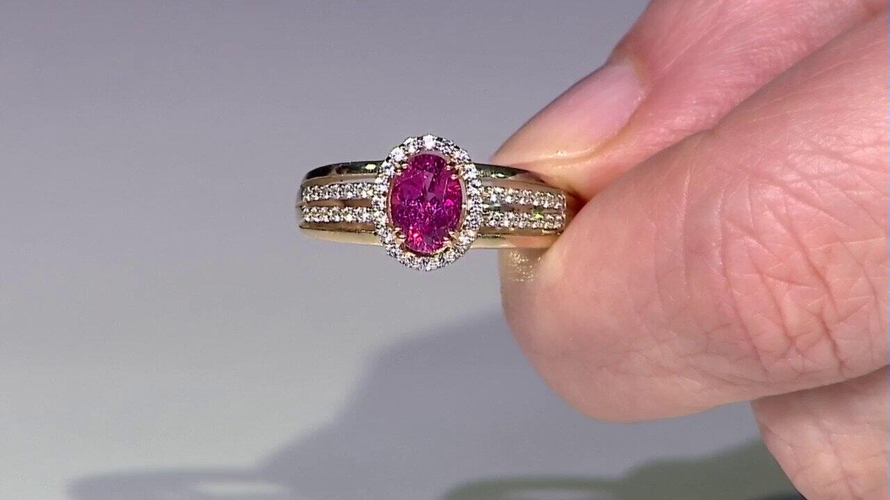 Letzte TV-Show ansehen