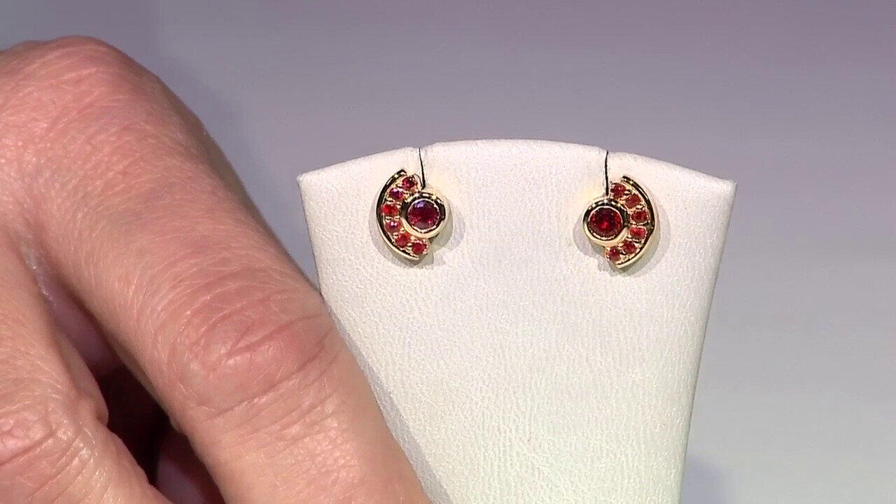 Letzte TV-Show ansehen