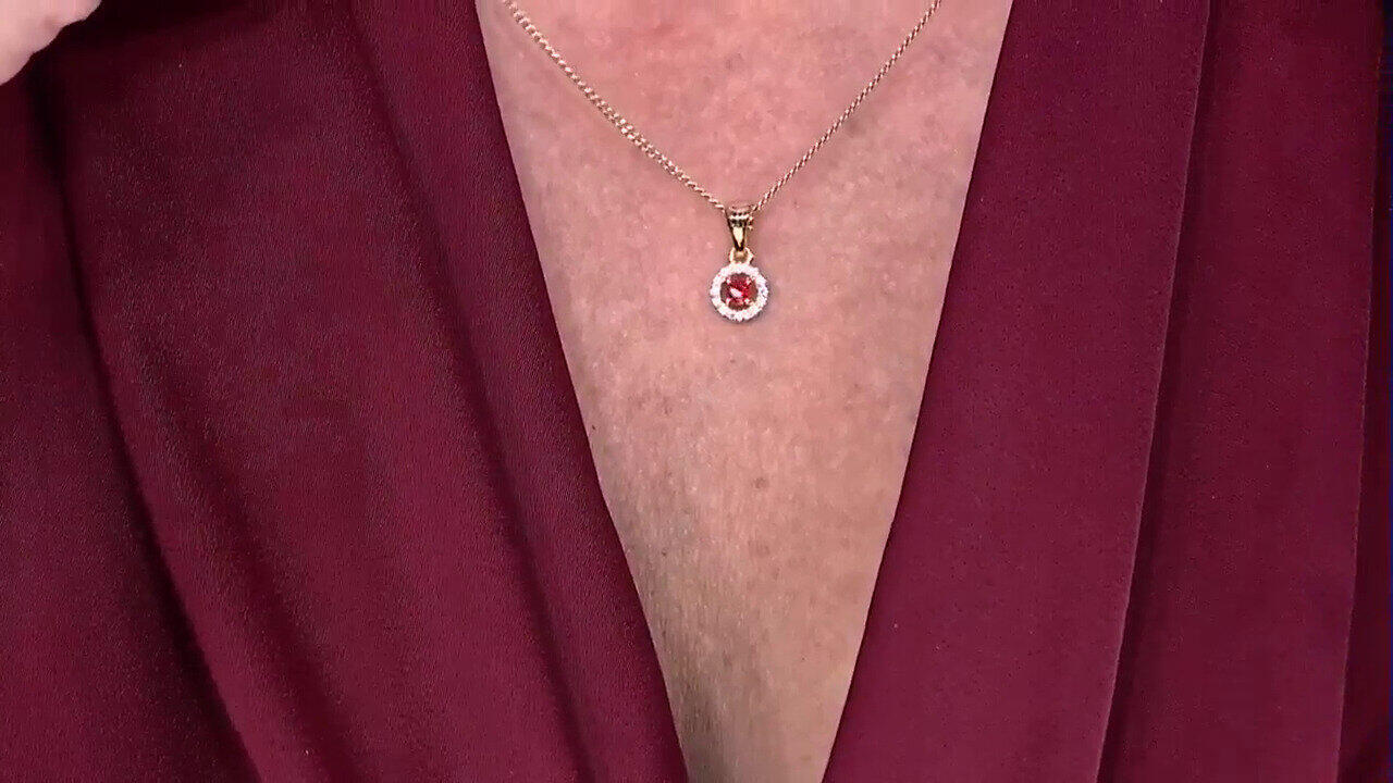 Letzte TV-Show ansehen