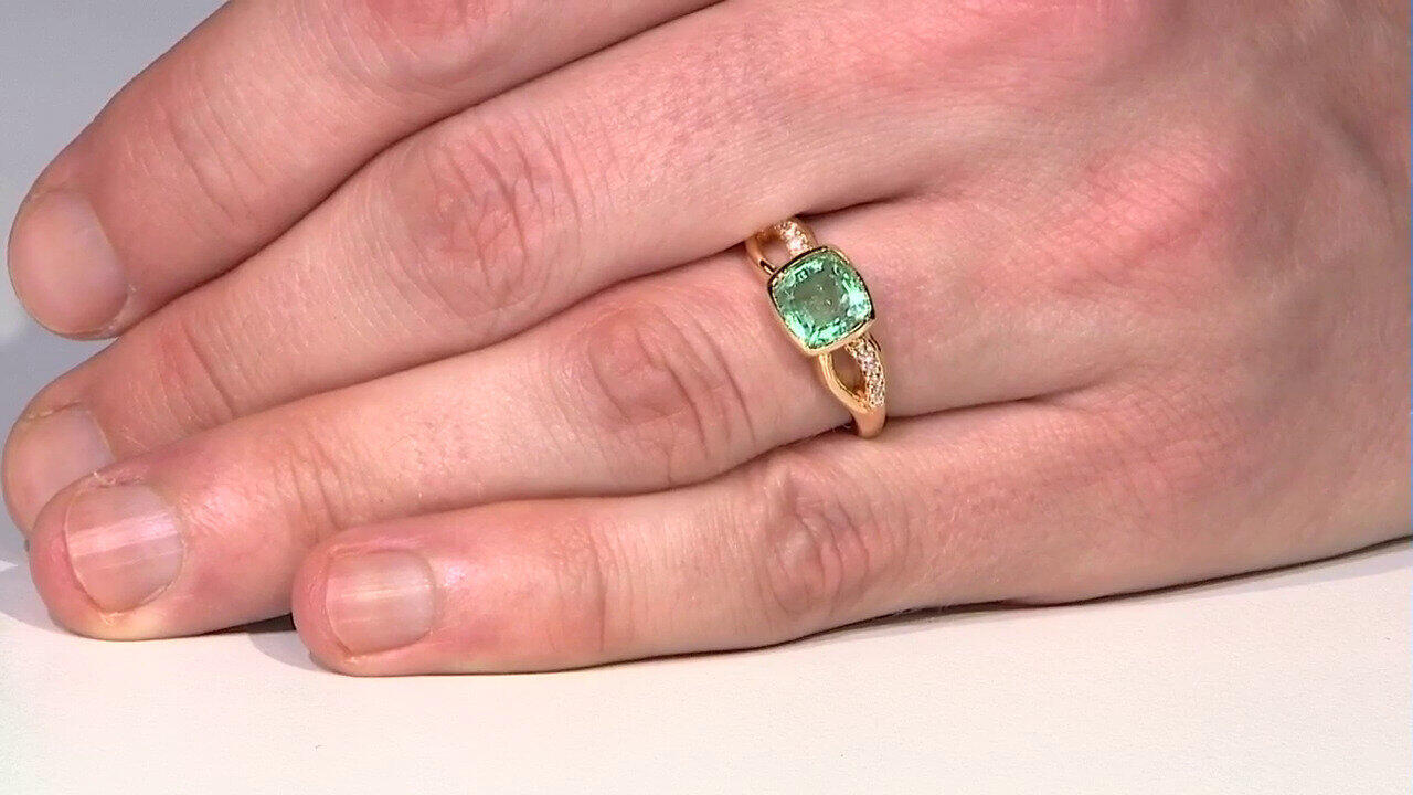 Letzte TV-Show ansehen