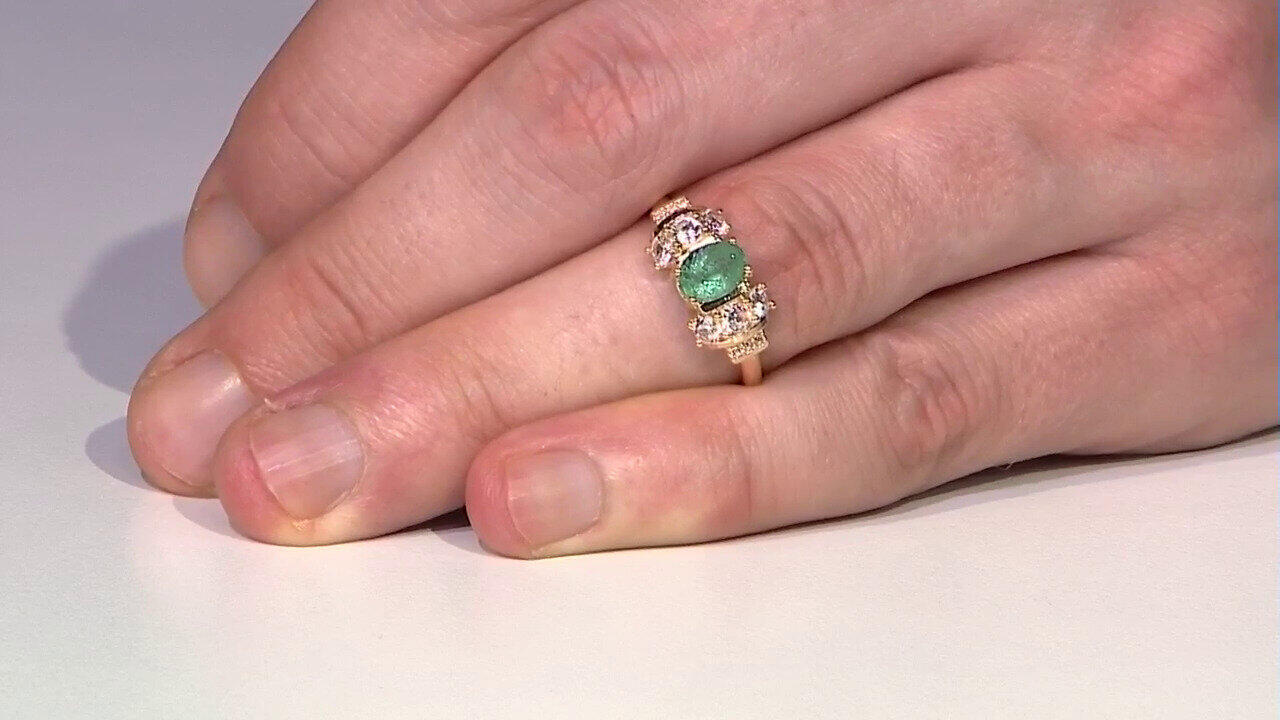 Letzte TV-Show ansehen