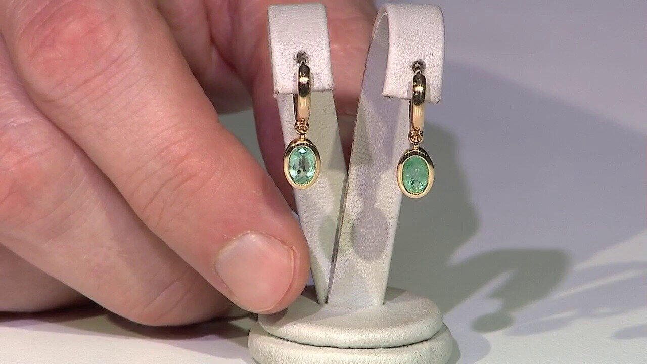 Letzte TV-Show ansehen