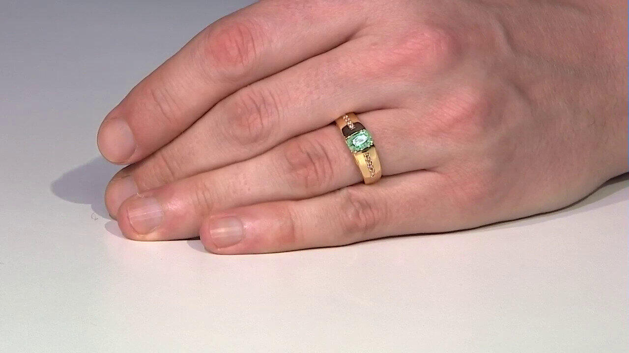 Letzte TV-Show ansehen