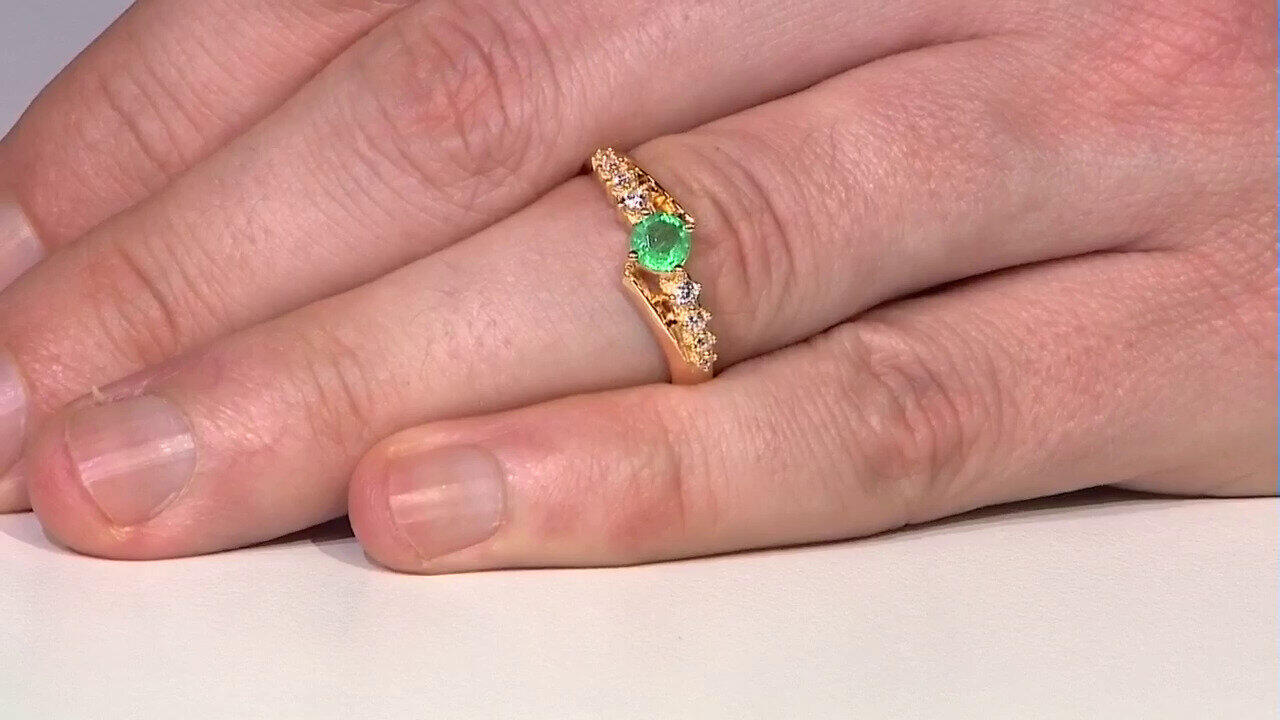 Letzte TV-Show ansehen