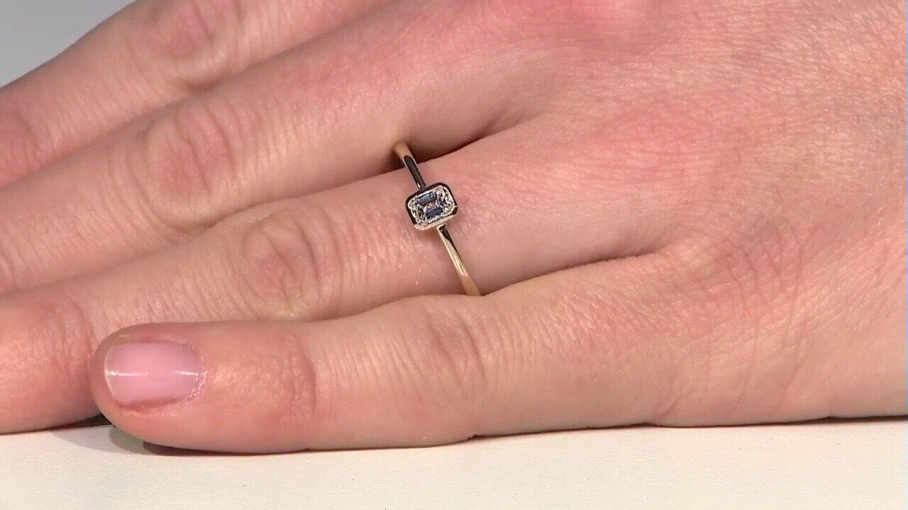 Letzte TV-Show ansehen