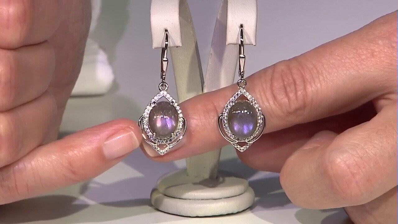 Letzte TV-Show ansehen